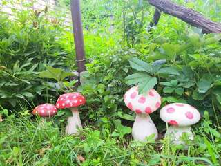 Гостевой дом Nitsa Guest House Гори-4